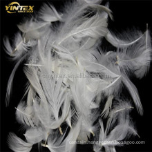 2-4 cm White Duck Or Goose Feather Down